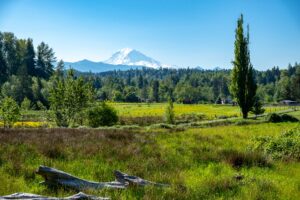 BEGINNING MEDITATION INSTRUCTION